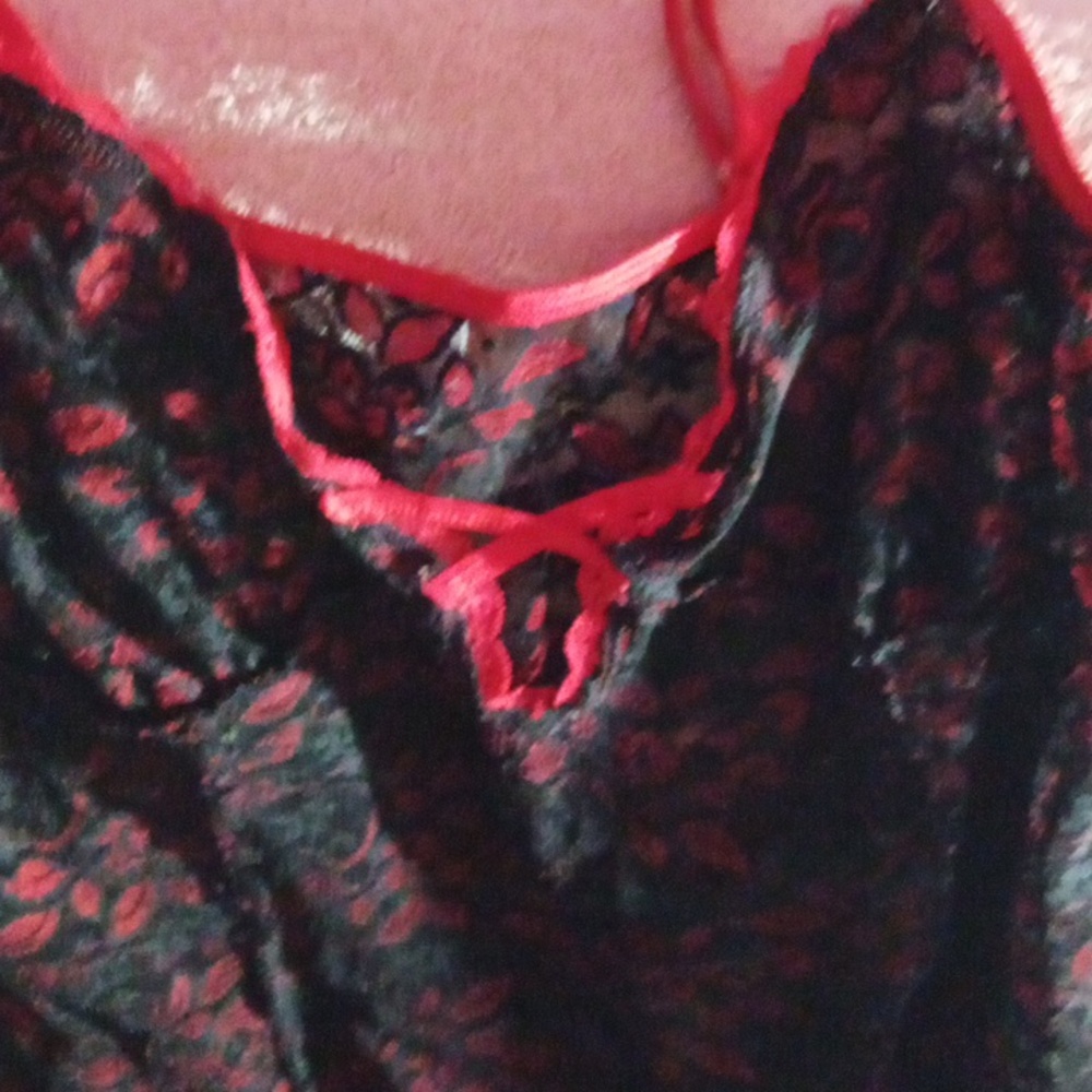 Sexy red and black lingerie...used only for the purposes of making the video